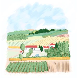 Venue's customized illustration