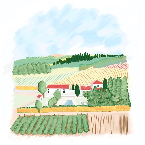 Venue's customized illustration